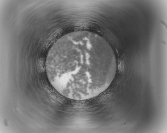 X0000103910819200810031211