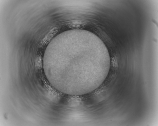 X0000103910820200810031211