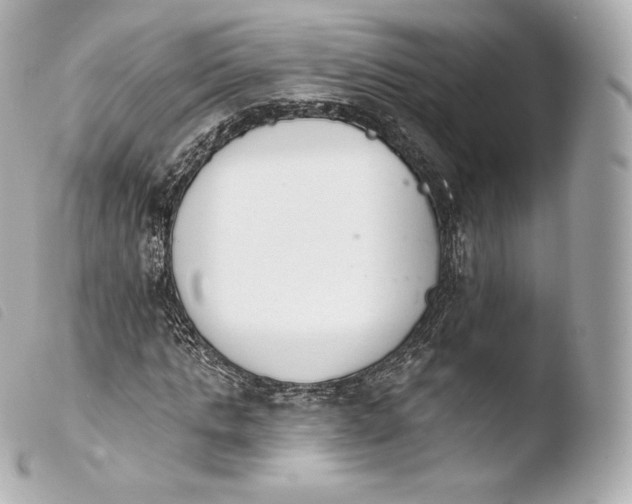 X0000103910821200810031211