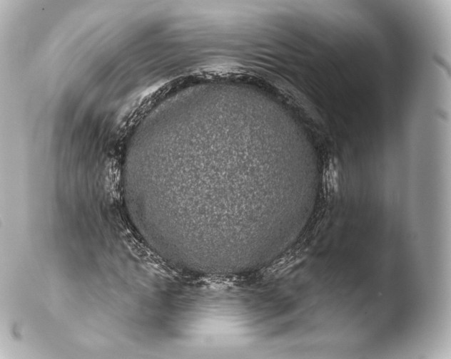 X0000103910822200810031211