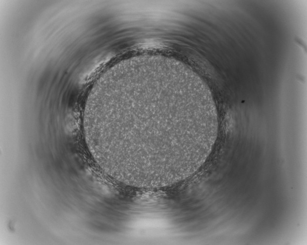 X0000103910824200810031211