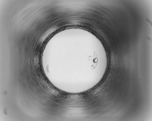 X0000103910826200810031211