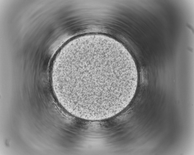 X0000103910828200810031211