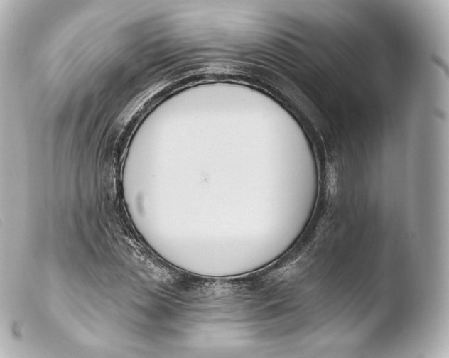 X0000103910829200810031211