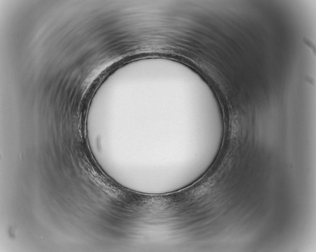 X0000103910830200810031211