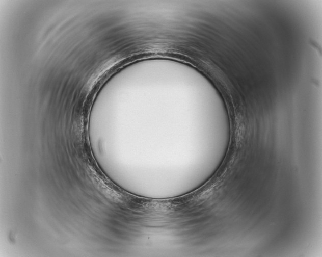 X0000103910831200810031211