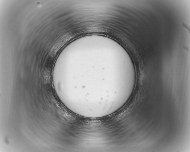 X0000103910833200810031211