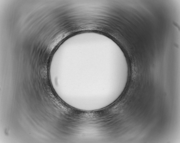 X0000103910834200810031211
