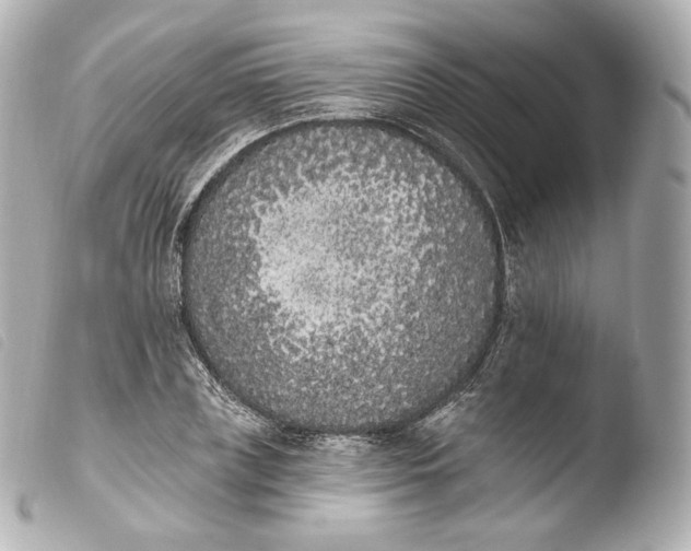 X0000103910835200810031211