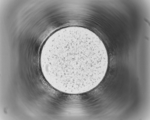 X0000103910836200810031211
