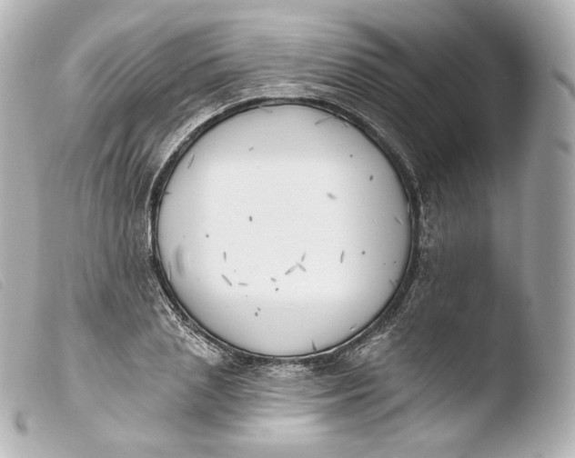 X0000103910837200810031211