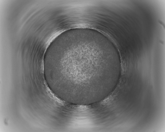 X0000103910839200810031211