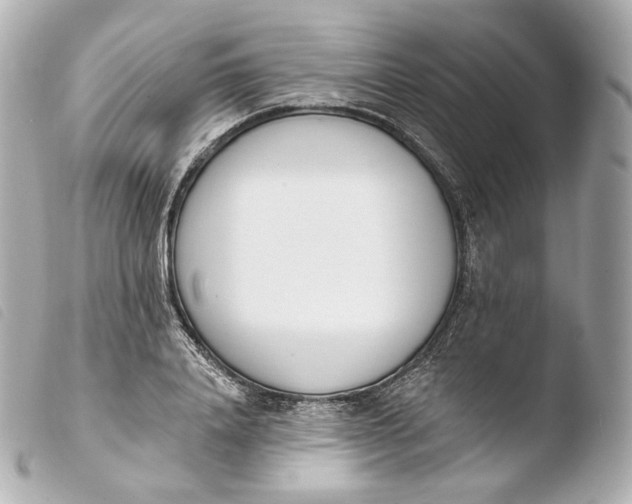 X0000103910840200810031211