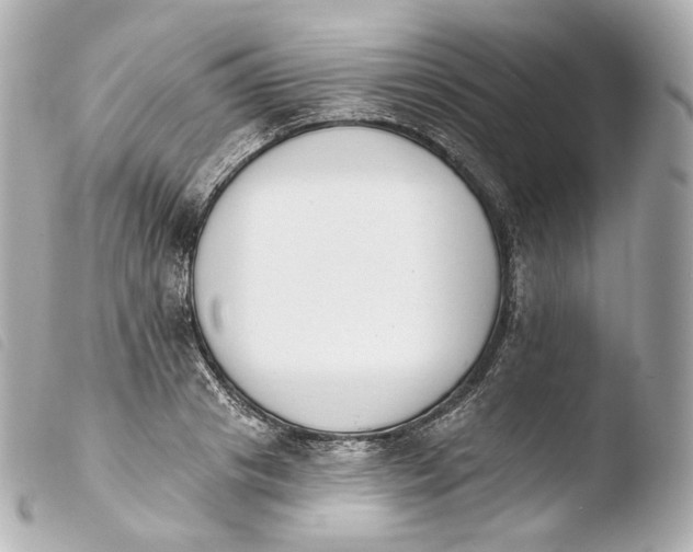 X0000103910841200810031211