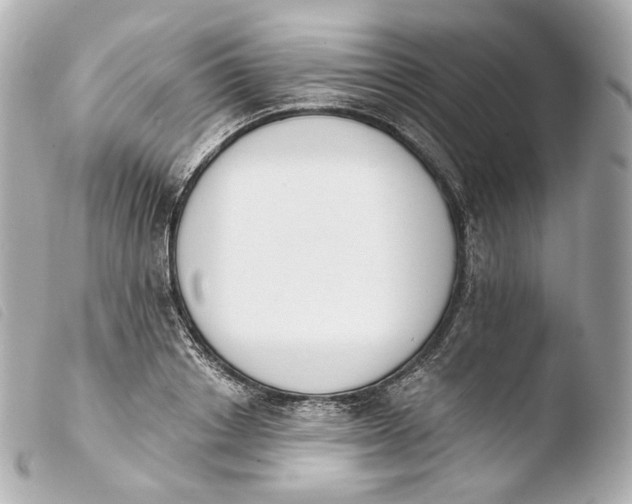 X0000103910842200810031211