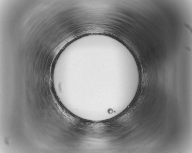 X0000103910845200810031211