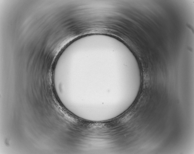 X0000103910846200810031211