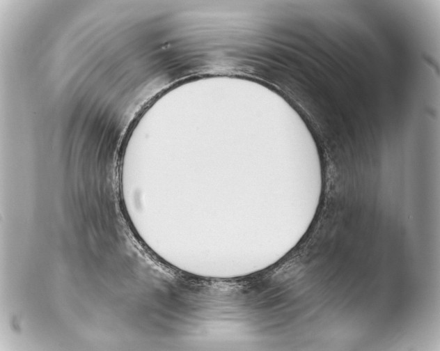X0000103910848200810031211