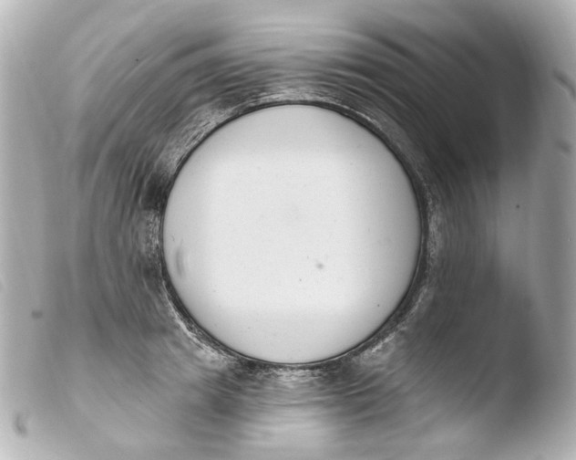 X0000103910849200810031211