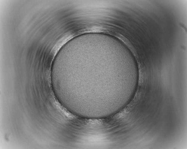 X0000103910850200810031211