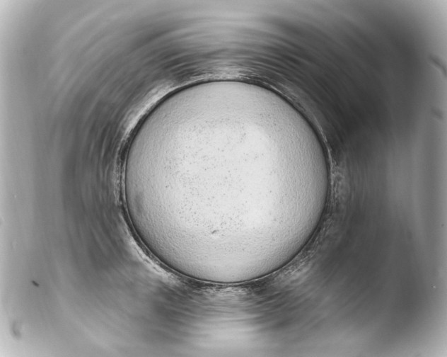 X0000103910851200810031211