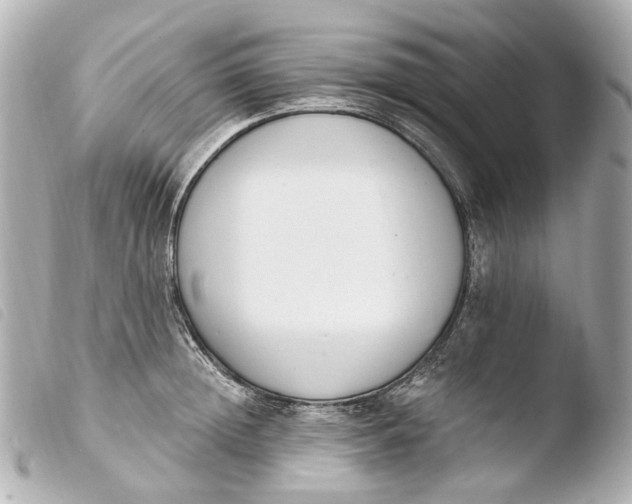 X0000103910852200810031211