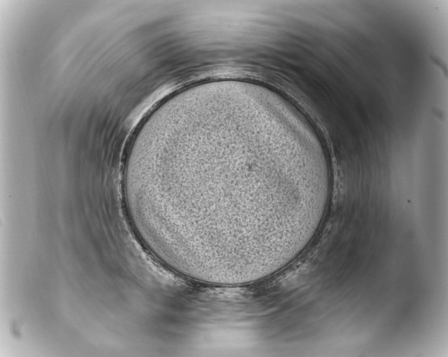 X0000103910853200810031211