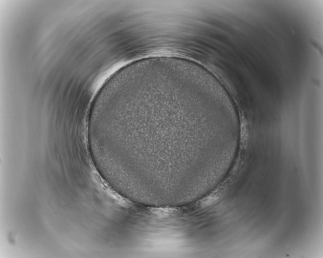 X0000103910854200810031211