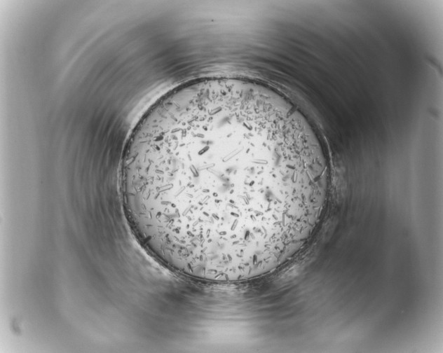 X0000103910855200810031211
