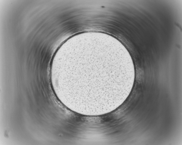 X0000103910856200810031211