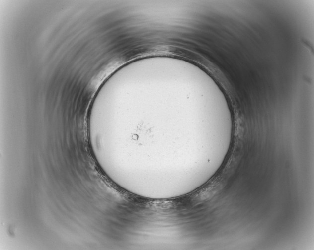 X0000103910858200810031211