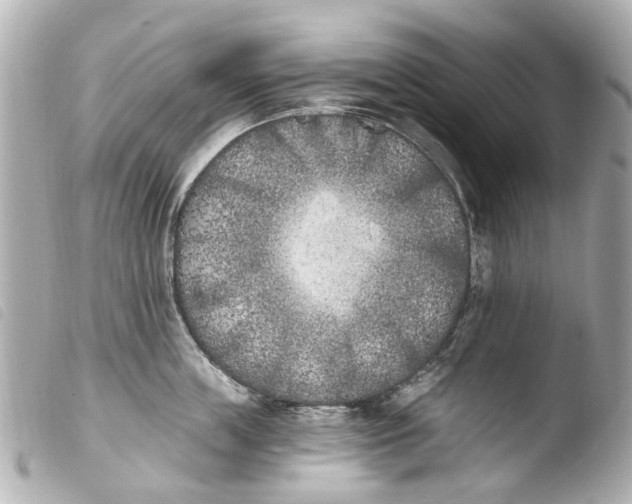 X0000103910859200810031211
