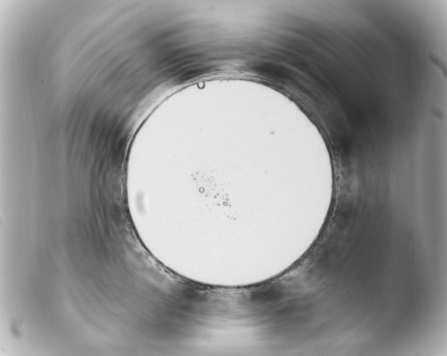 X0000103910860200810031211