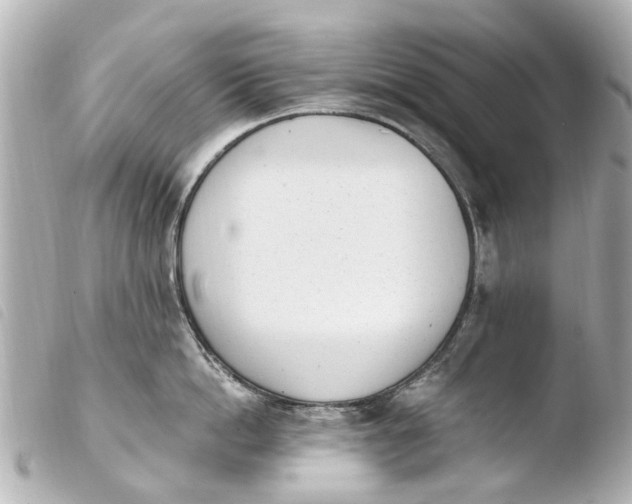 X0000103910862200810031211