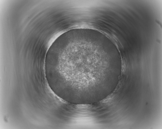 X0000103910863200810031211