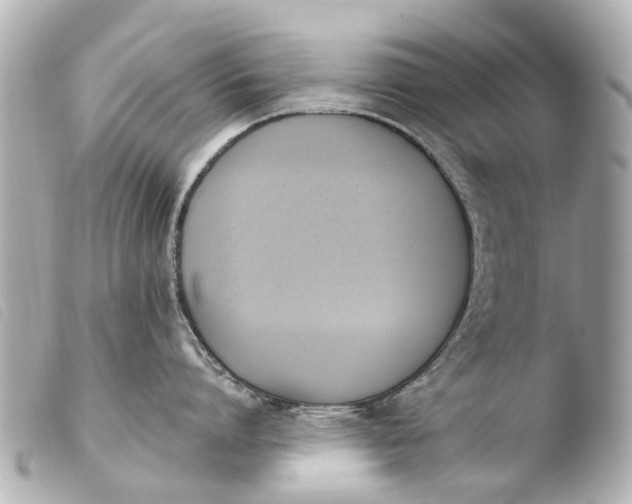 X0000103910864200810031211