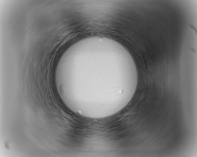 X0000103910865200810031210