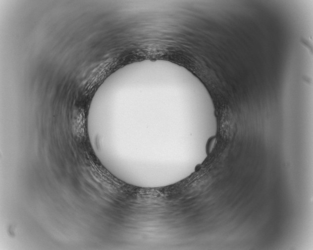 X0000103910866200810031210