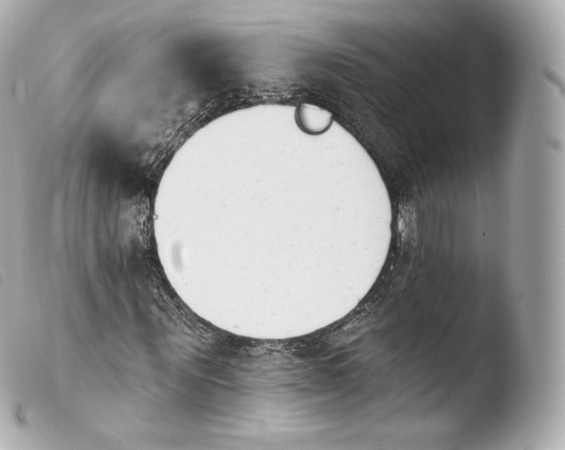 X0000103910867200810031210