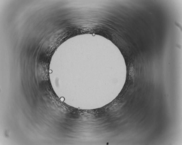 X0000103910868200810031210