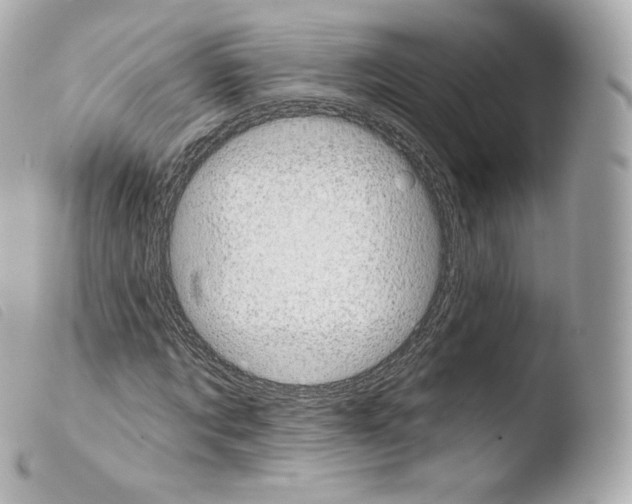 X0000103910869200810031210
