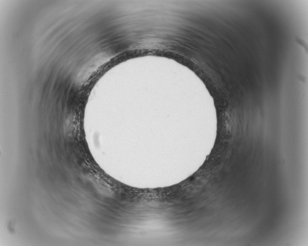 X0000103910872200810031210
