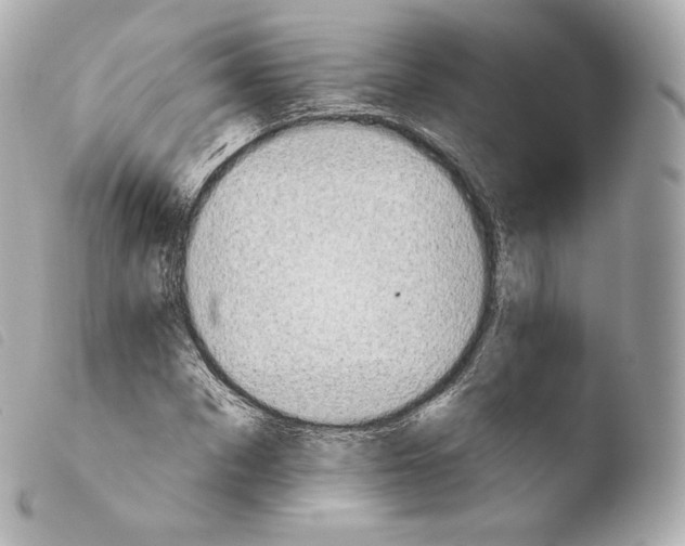 X0000103910873200810031210