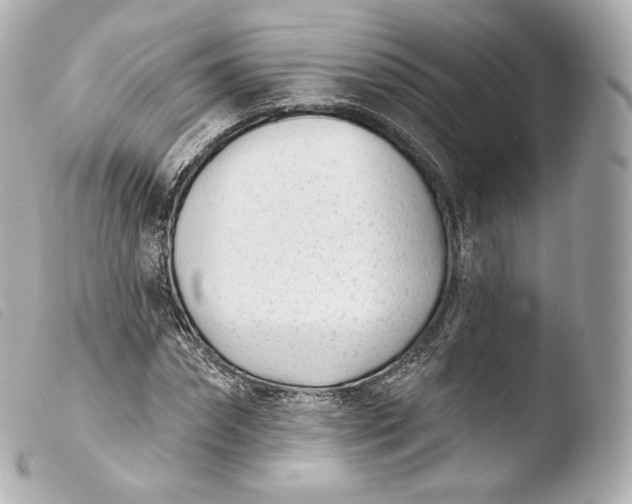 X0000103910874200810031210