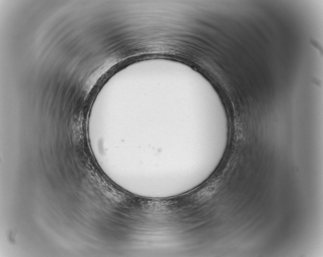 X0000103910875200810031210