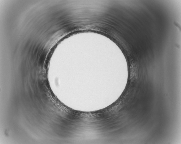 X0000103910876200810031210