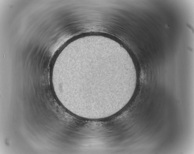 X0000103910877200810031210