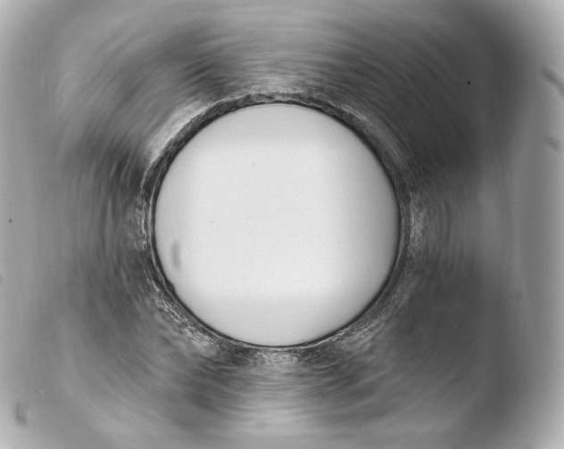 X0000103910878200810031210