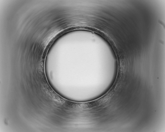 X0000103910879200810031210