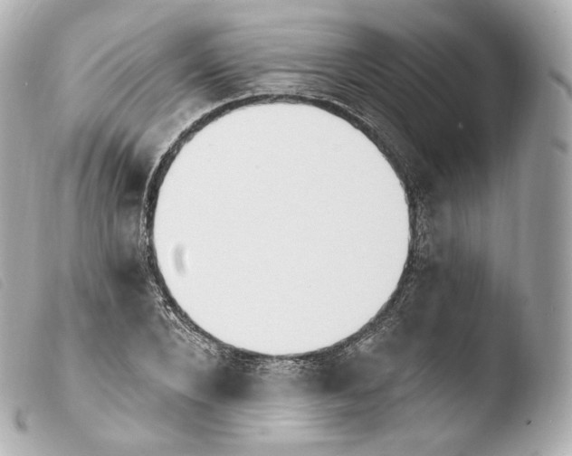 X0000103910880200810031210